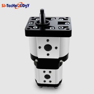 High Quality Mini G2 Hydraulic Gear Pump 2CBN5 Series Gear Pump Parts For Log Splitter in Agriculture