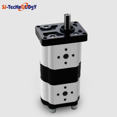 2CBN5 Hydraulic Gear Pump For Log Splitter in Agriculture